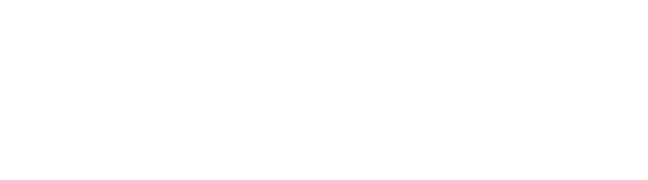 CERMIN303 logo